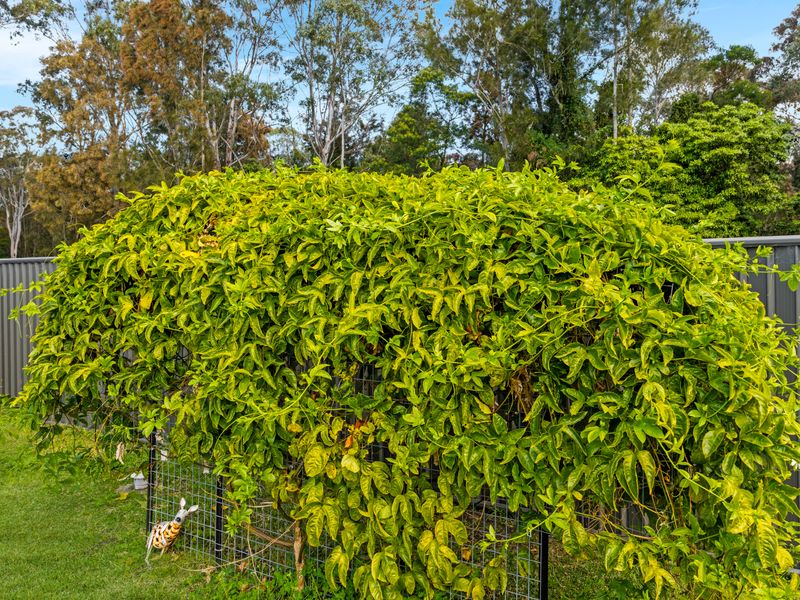 Beachfront Escape Relaxing Getaway in Batehaven