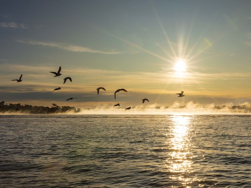 Sea Mist