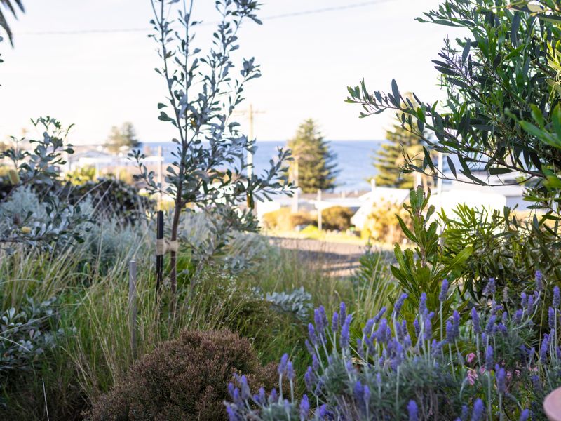 Relaxing Kiama Retreat with Garden & Comfort