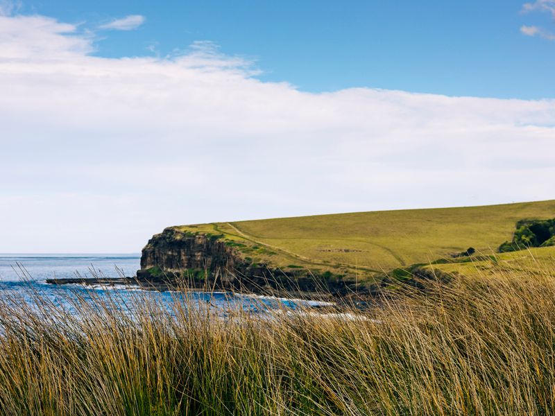 Relaxing Kiama Retreat with Garden & Comfort