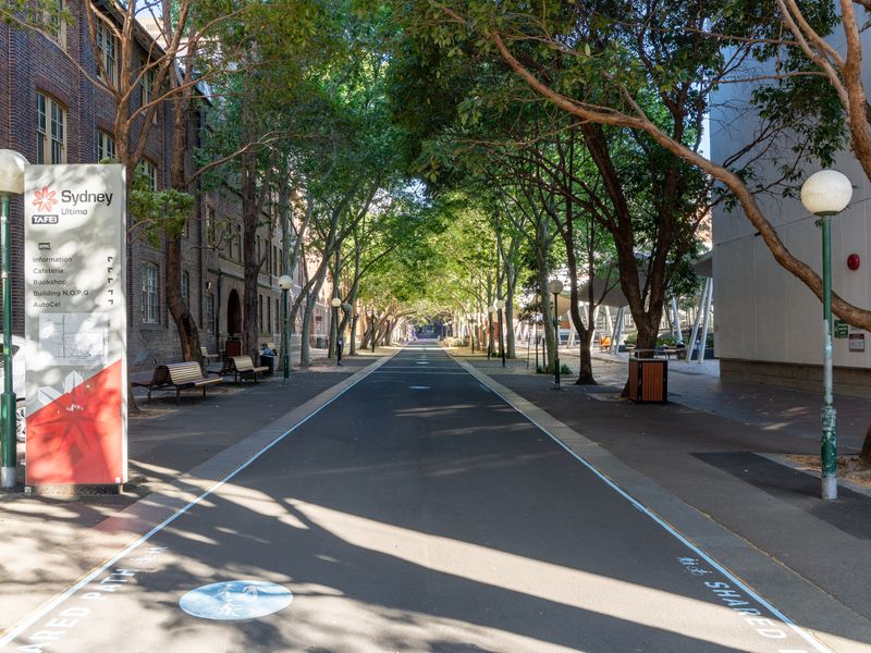 Quiet tree-lined street nearby.