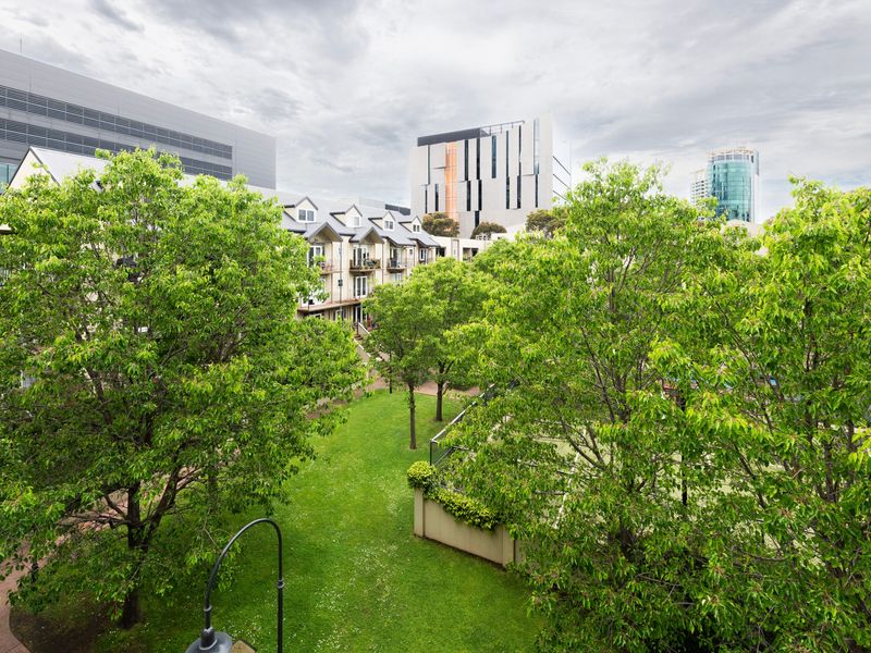 Peaceful garden and greenery views