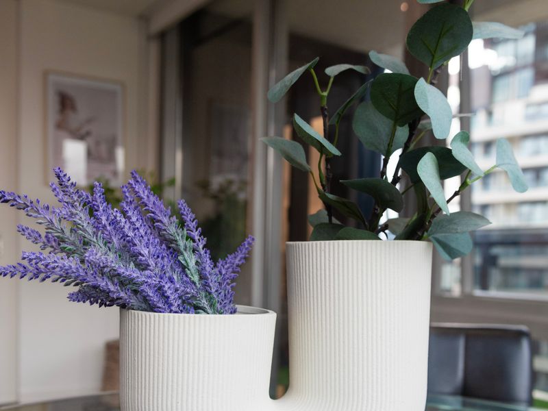 Stylish indoor plant décor with a touch of greenery