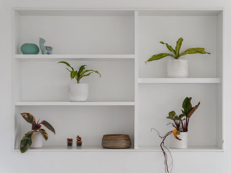 Minimalist styling with natural accents
