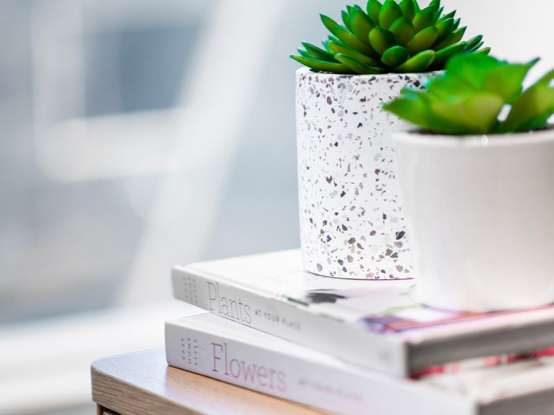 Decorative touches and greenery for a homely feel