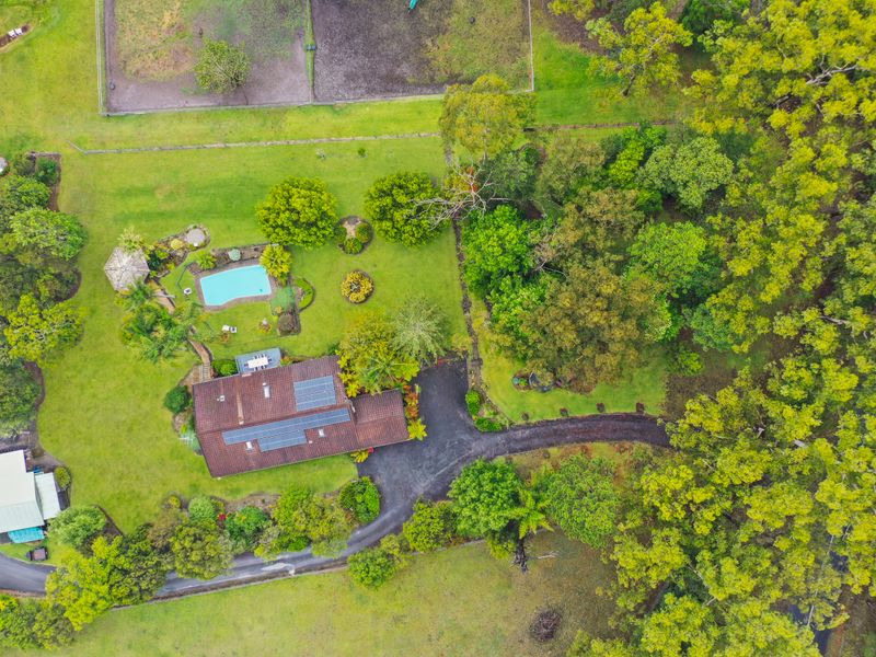 Aerial view showcasing the home and surrounding greenery