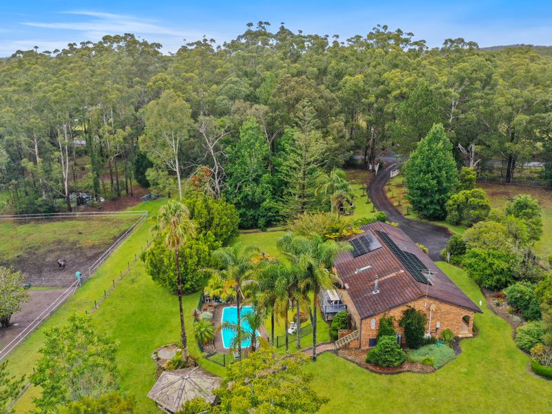 Tranquil bushland setting offering privacy and natural beauty