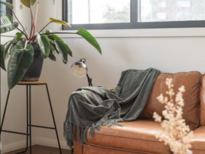 Relaxing corner with greenery and soft décor