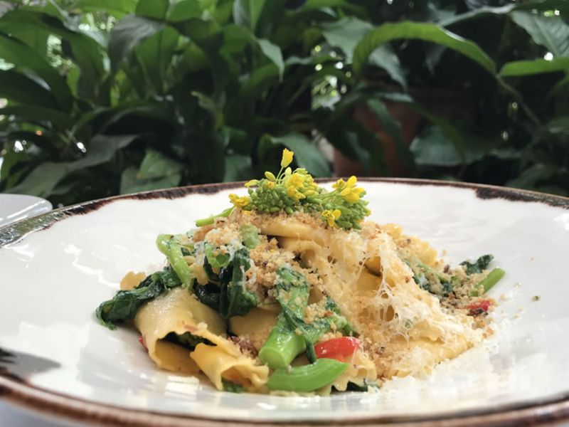 Dine at a local favorite - Locale Ristorante & Bar