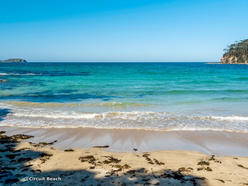 The Lilli Pad- A Tranquil Garden Stay