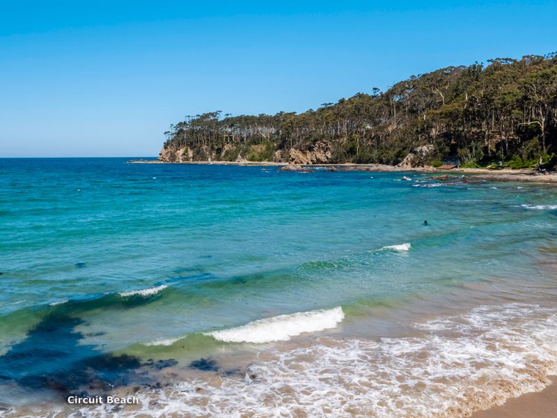 The Lilli Pad- A Tranquil Garden Stay