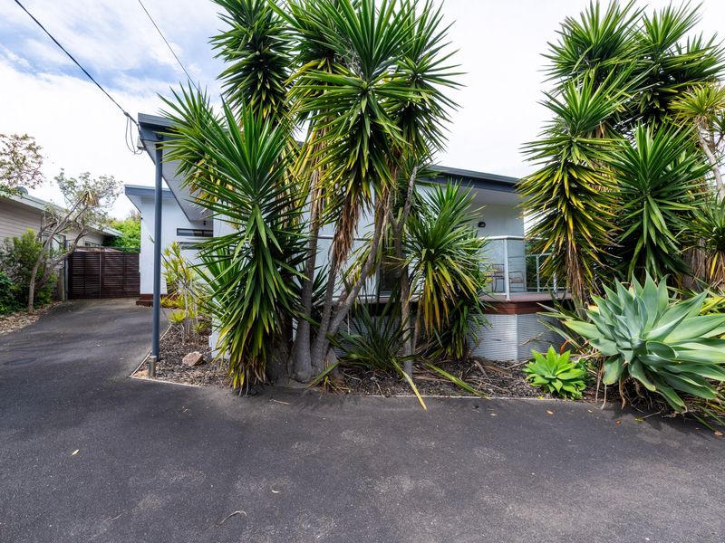 Tropical garden setting with lush greenery.
