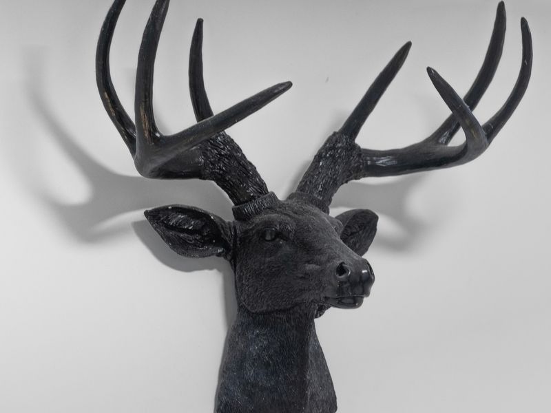 Charming wall décor adds a touch of personality to the space.