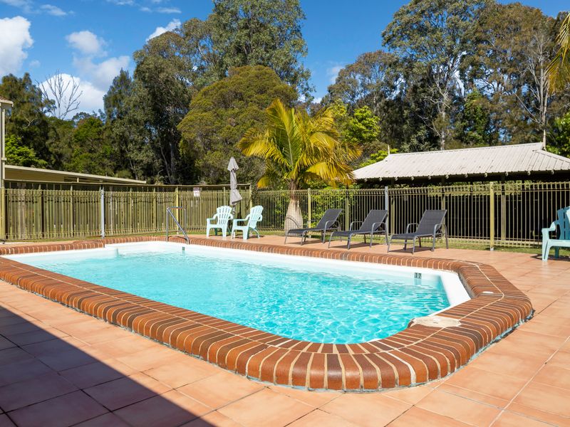 Swimming pool surrounded by sun loungers and palm trees.