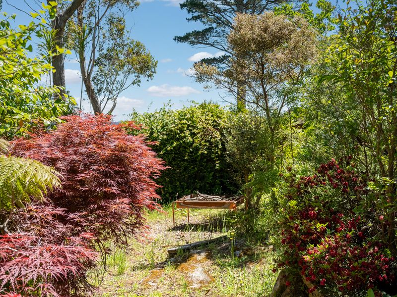 Peaceful garden corner with vibrant foliage