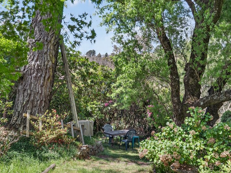 Shaded outdoor nook nestled among mature trees for quiet relaxation.