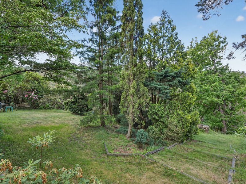 Wide, leafy garden space offering serene natural views.
