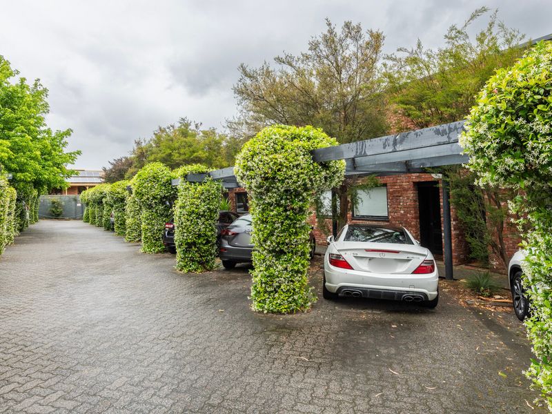 Lush, tree-lined driveway creating a peaceful arrival. 