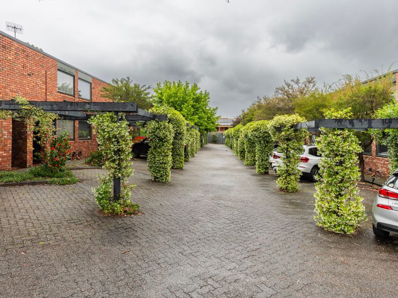 Lush, tree-lined driveway creating a peaceful arrival.