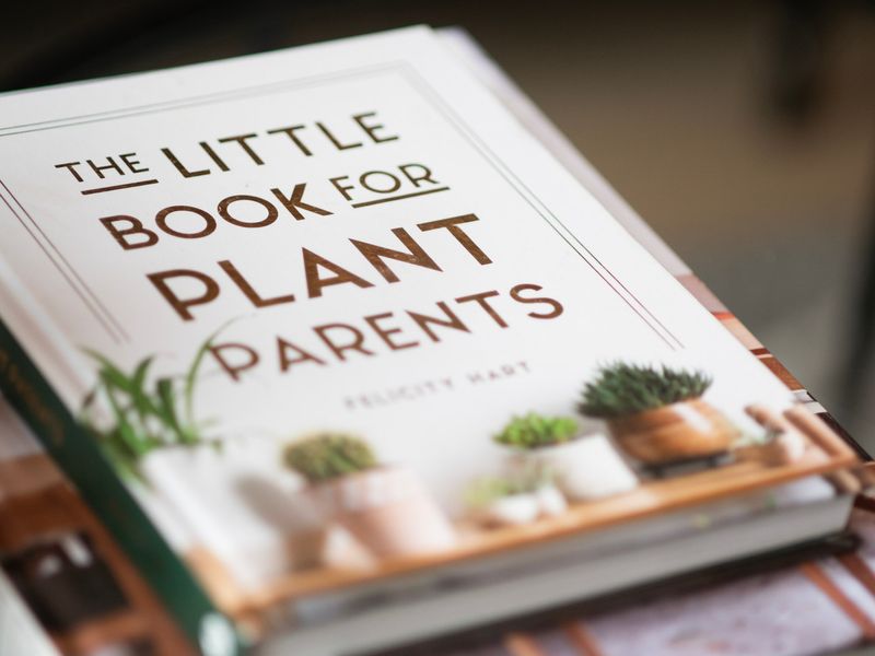 A cosy touch with “The Little Book for Plant Parents” on display