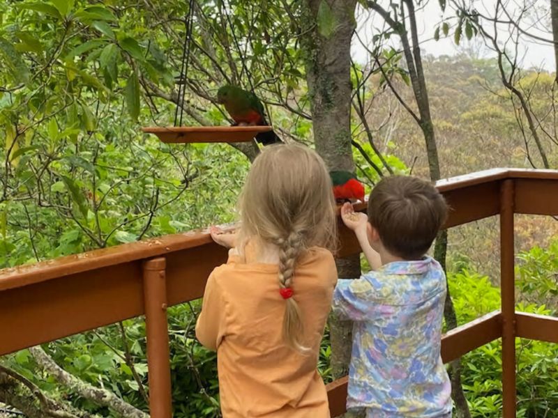 Mountain View Hideout with Stargazing Telescope