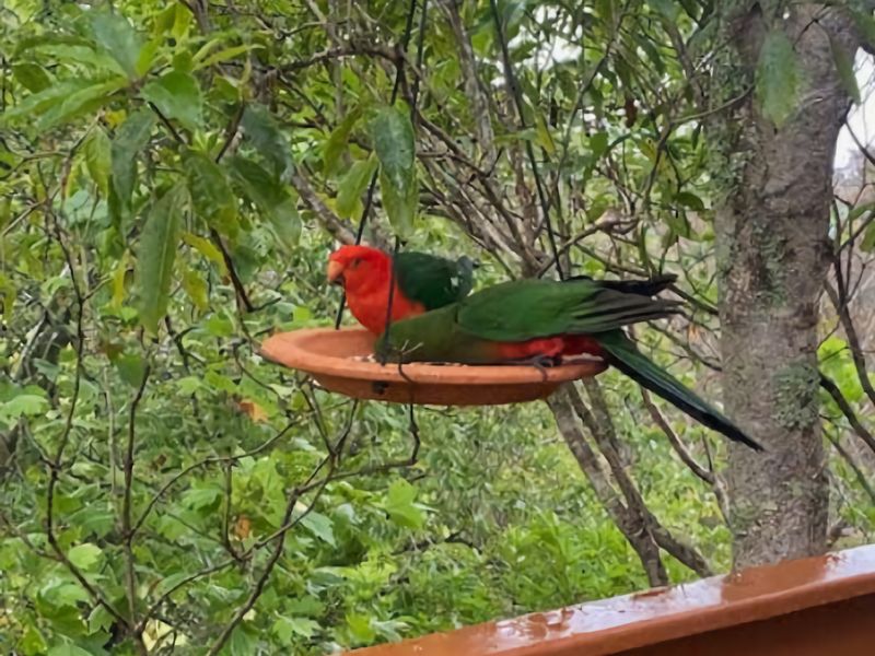 Mountain View Hideout with Stargazing Telescope
