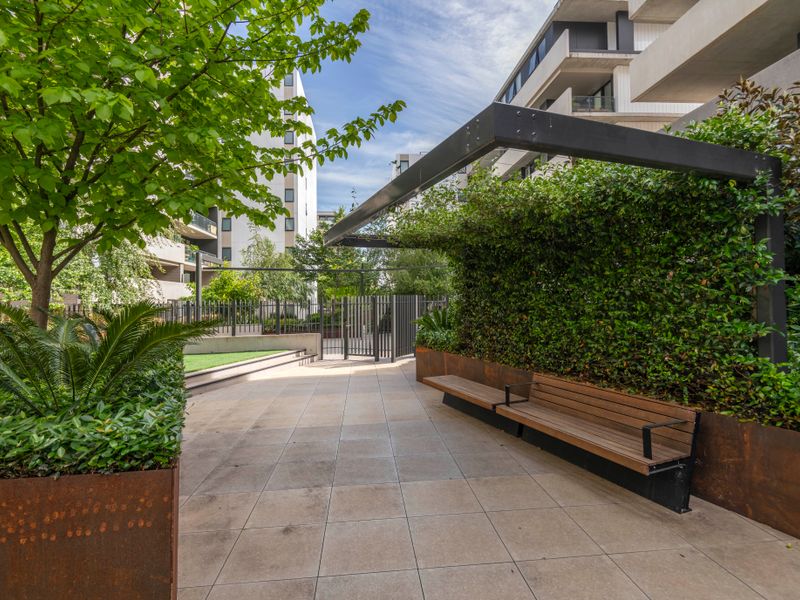 Lush garden walkway creating a peaceful, green escape.