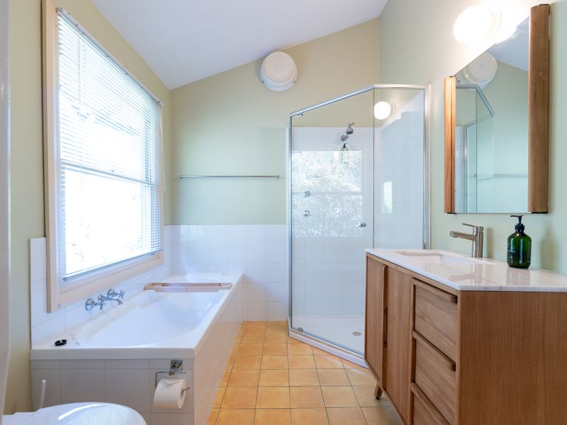 Bright contemporary bathroom with bathtub and walk-in shower.
