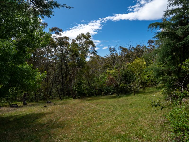 Expansive backyard with open lawn and surrounding trees.