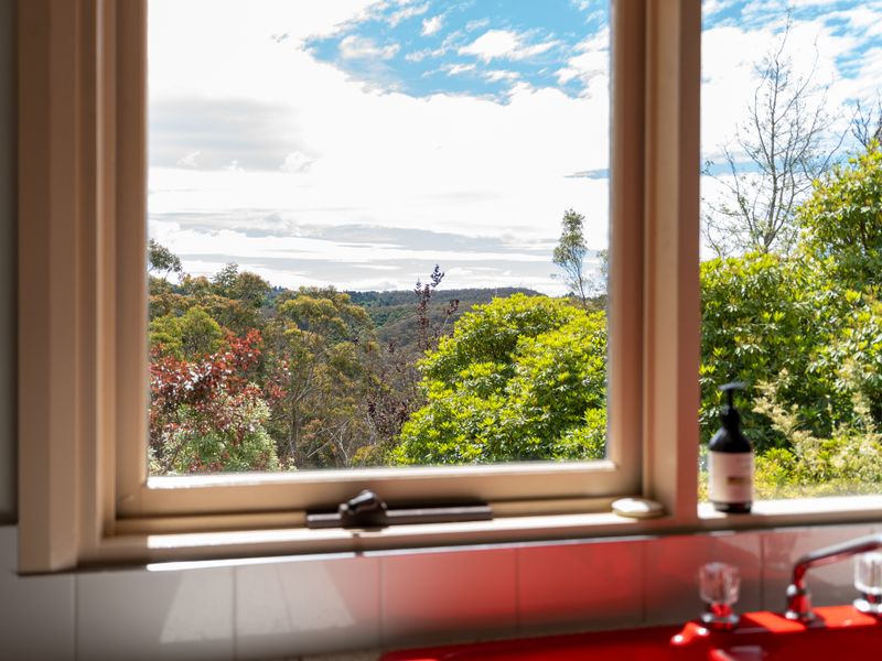 Window view overlooking treetops and the National Park