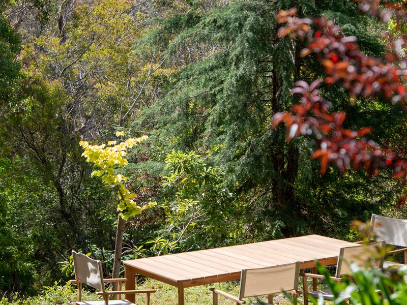 Private outdoor deck surrounded by vibrant greenery.