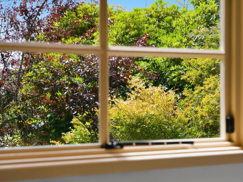 Vibrant garden views bringing nature right inside.