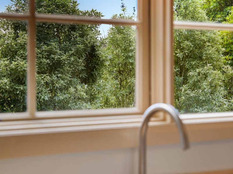 Peaceful leafy outlook from the kitchen window.