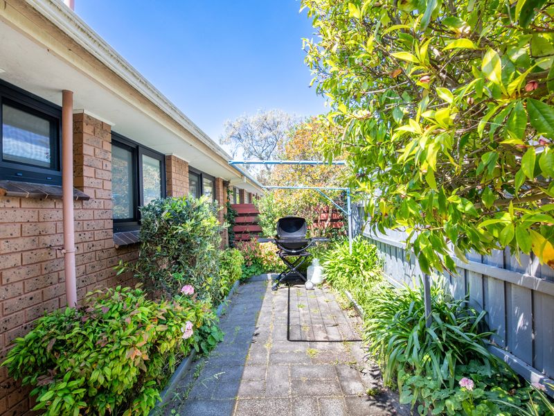 Charming garden walkway with lush greenery & Webber