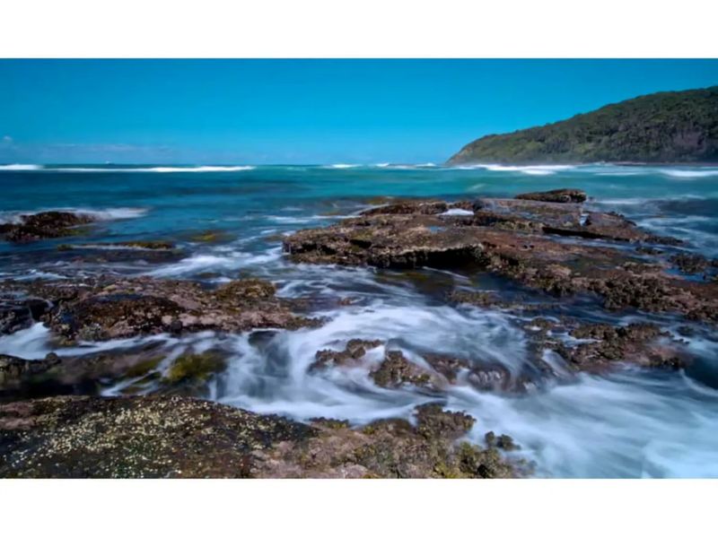 Bright Beachside Escape at The Entrance