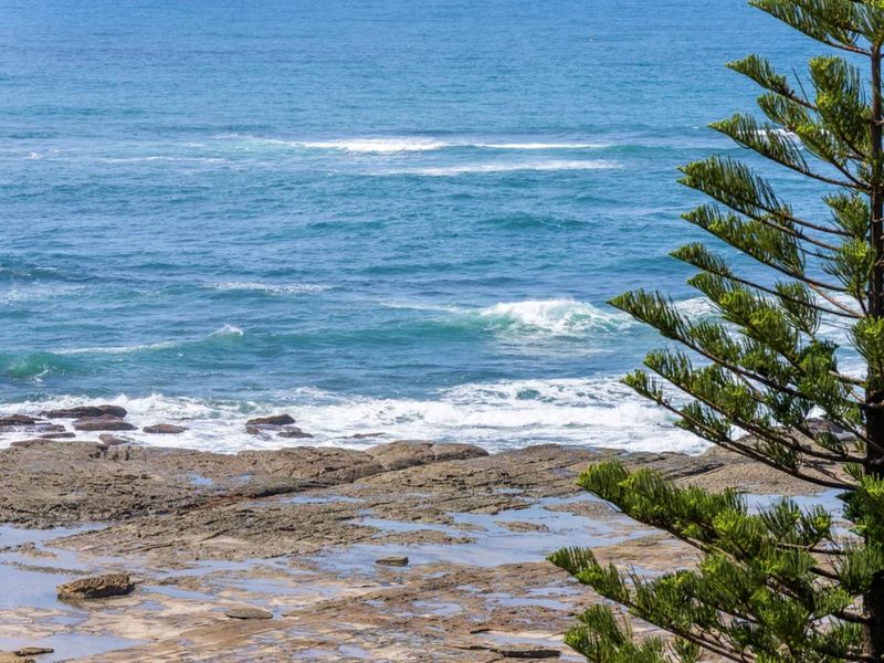 Bright Beachside Escape at The Entrance