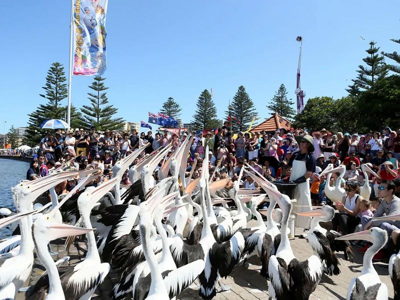 Bright Beachside Escape at The Entrance