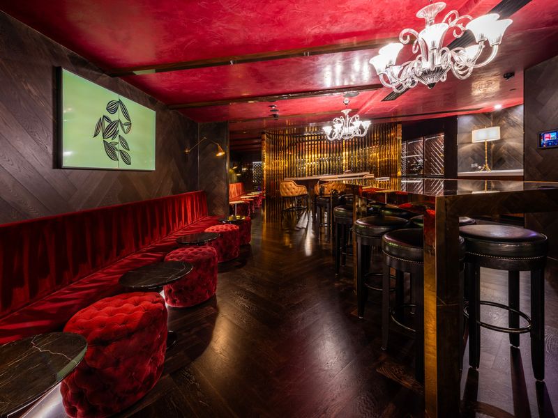 Vibrant lounge bar with intimate lighting and bold décor.