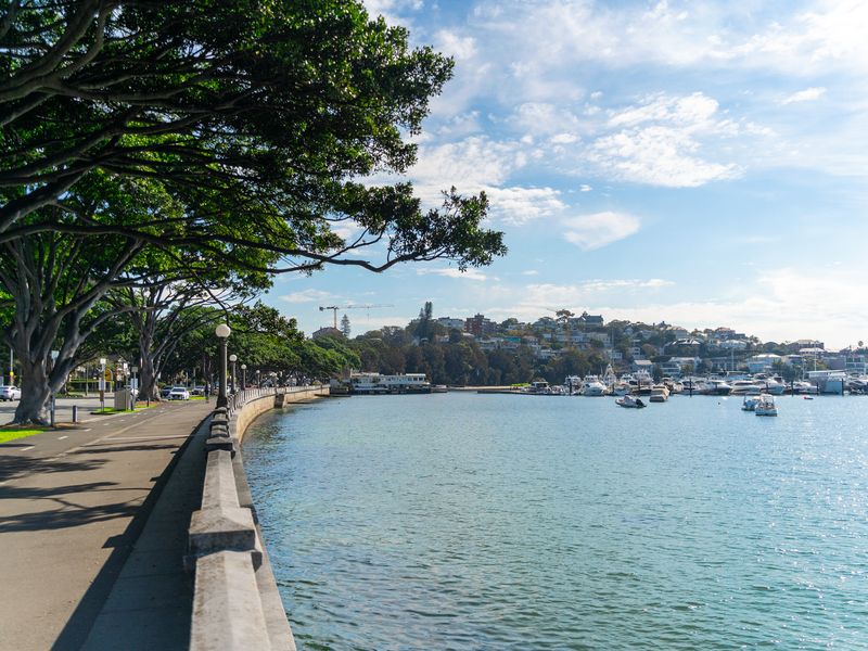 Pet-Friendly Home Just Minutes from Bondi Beach