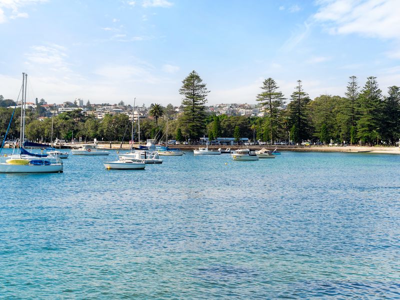 Pet-Friendly Home Just Minutes from Bondi Beach