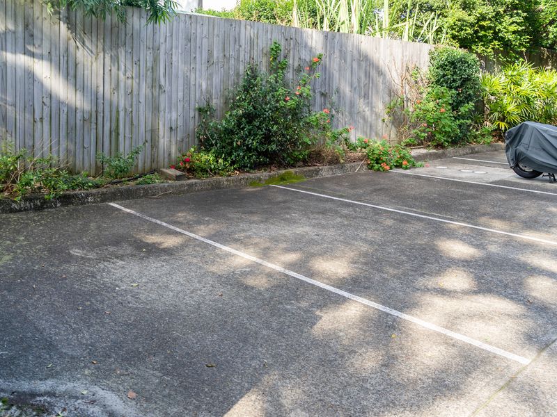 Pet-Friendly Home Just Minutes from Bondi Beach