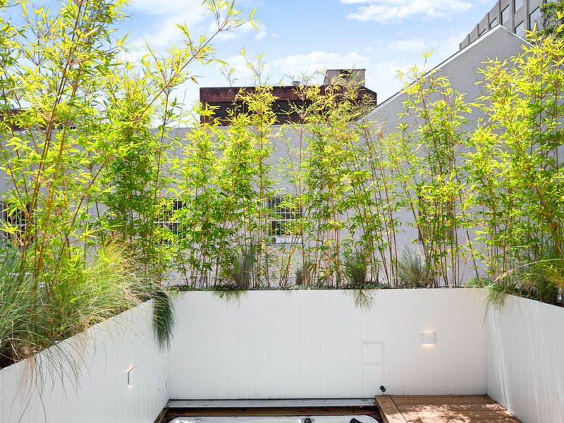 Tranquil courtyard garden offering privacy and fresh air