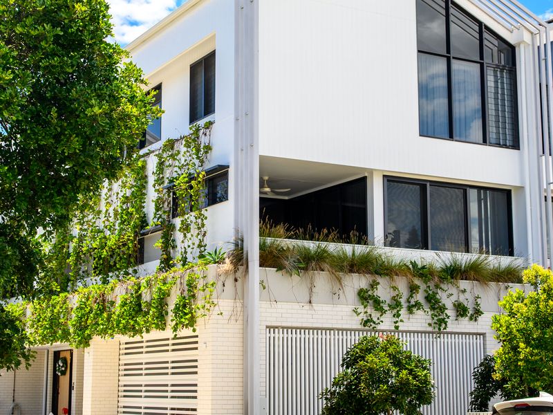 Contemporary façade draped in greenery for a welcoming first impression.