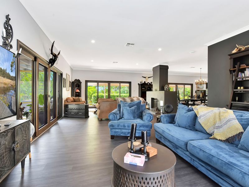 Bright open-plan living with lush garden views.