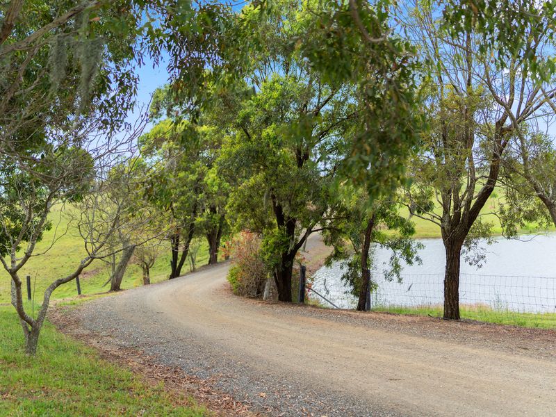 Shaded garden pathway surrounded by mature trees