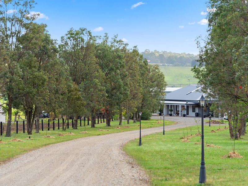 Tree-lined driveway offering a grand country-style welcome
