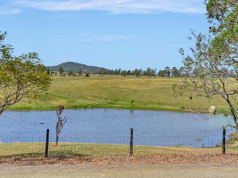 Tranquil dam views framed by natural greenery
