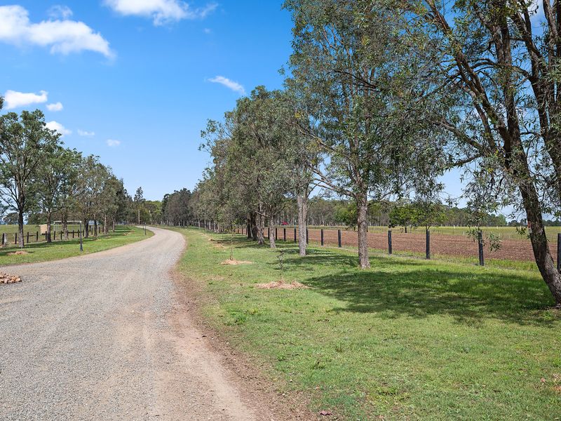 Scenic driveway lined with trees, welcoming you to the estate