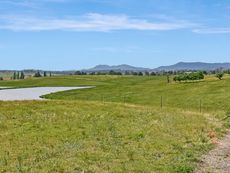 Sweeping paddock vistas with rolling countryside