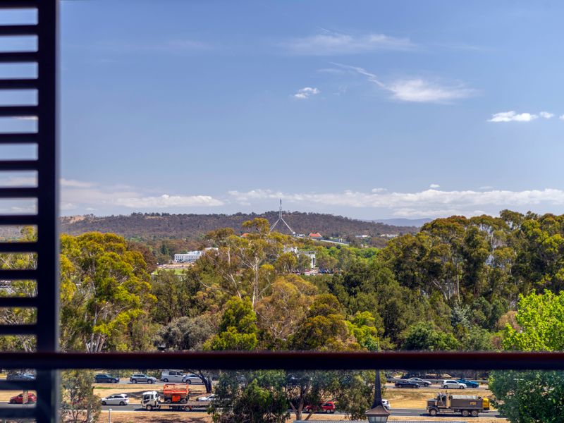 Peaceful treetop views stretching toward the hills and open sky